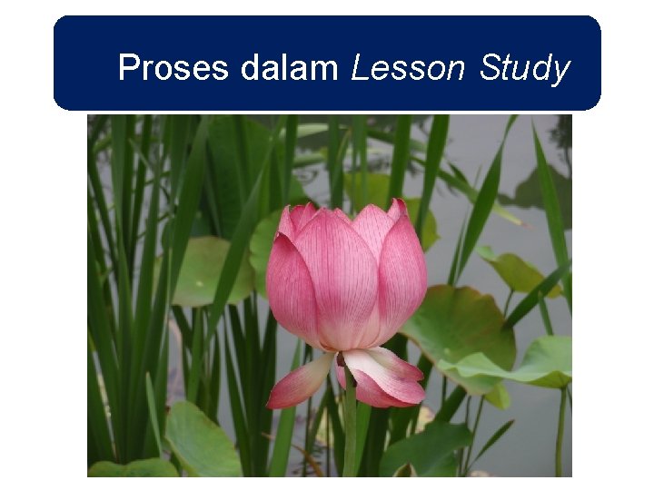 Proses dalam Lesson Study 