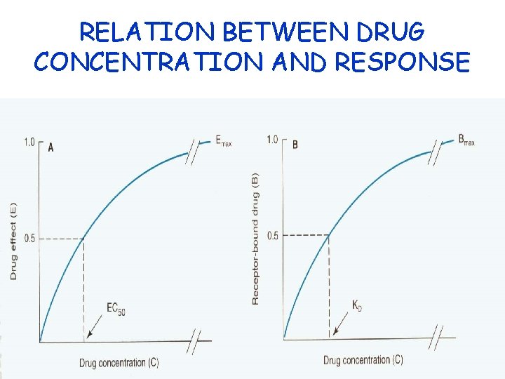 RELATION BETWEEN DRUG CONCENTRATION AND RESPONSE 