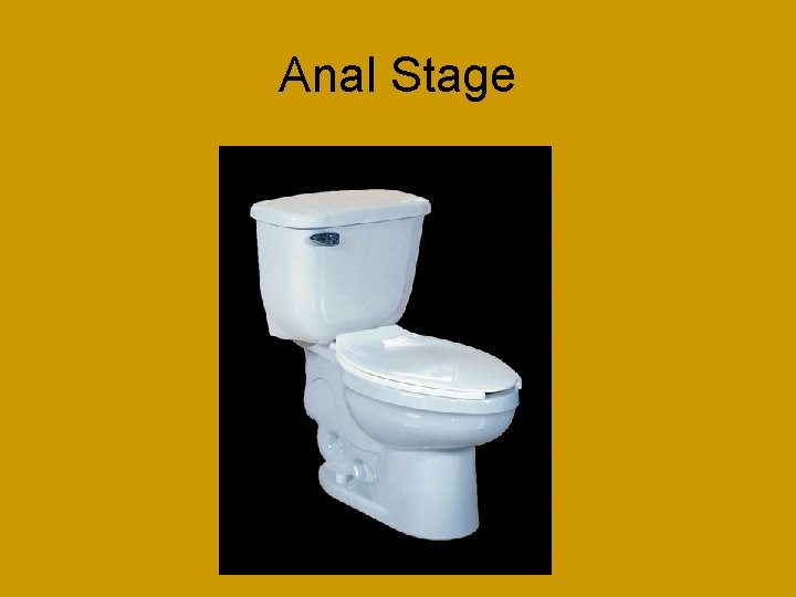 Anal Stage 