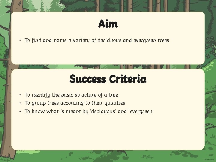 Aim • To find and name a variety of deciduous and evergreen trees Success
