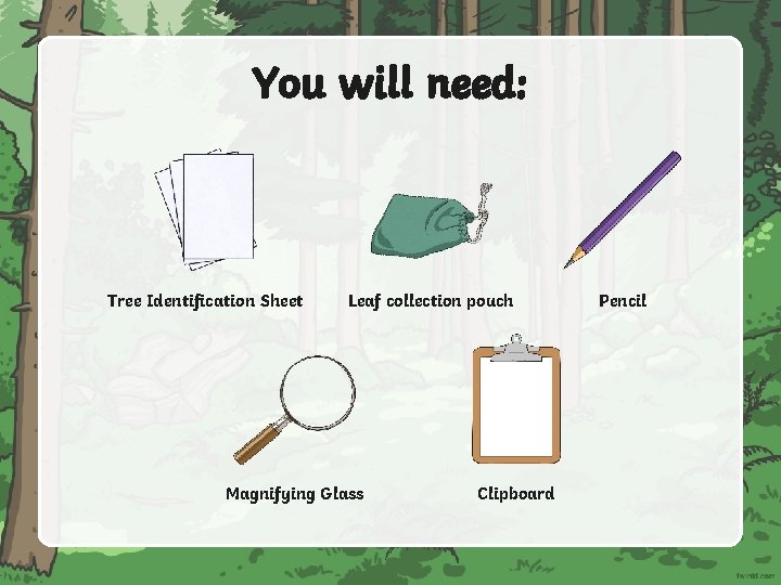 You will need: Tree Identification Sheet Leaf collection pouch Magnifying Glass Clipboard Pencil 