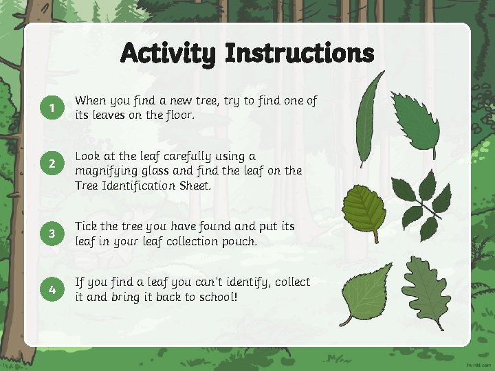 Activity Instructions 1 2 When you find a new tree, try to find one