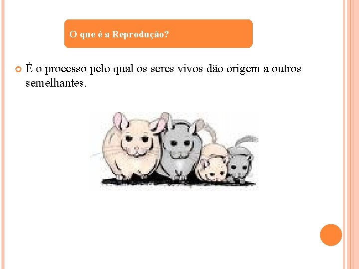 O que é a Reprodução? É o processo pelo qual os seres vivos dão