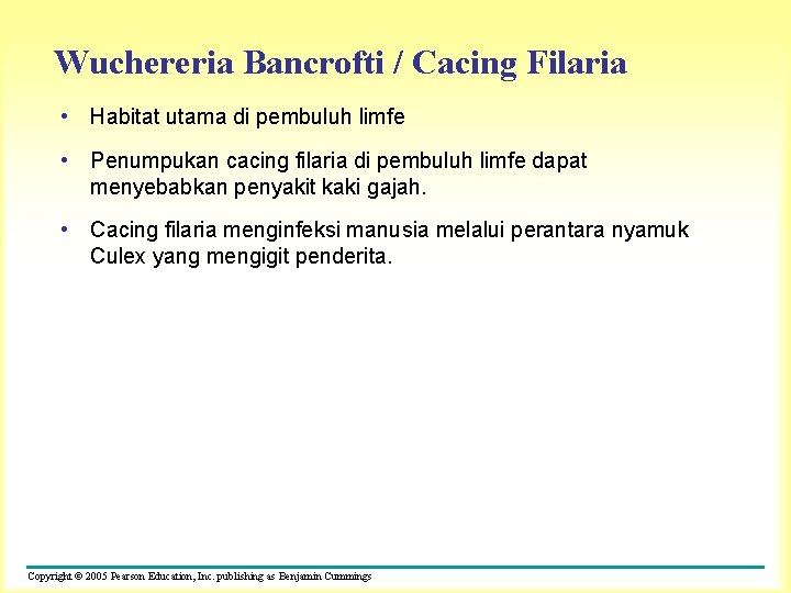 Wuchereria Bancrofti / Cacing Filaria • Habitat utama di pembuluh limfe • Penumpukan cacing