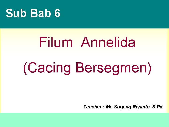 Sub Bab 6 Filum Annelida (Cacing Bersegmen) Teacher : Mr. Sugeng Riyanto, S. Pd