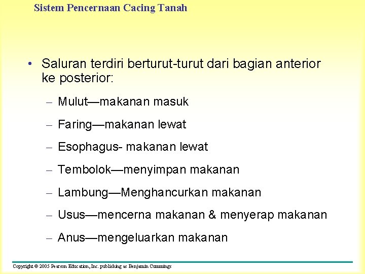 Sistem Pencernaan Cacing Tanah • Saluran terdiri berturut-turut dari bagian anterior ke posterior: –