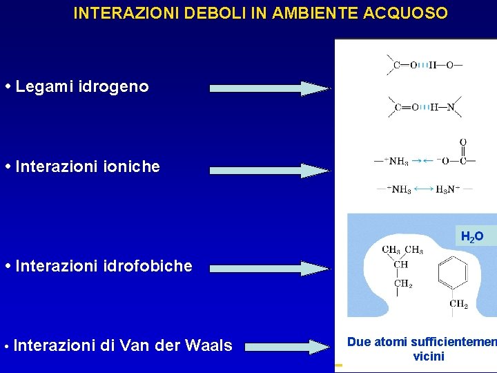 INTERAZIONI DEBOLI IN AMBIENTE ACQUOSO • Legami idrogeno • Interazioniche H 2 O • INTERAZIONI DEBOLI IN AMBIENTE ACQUOSO • Legami idrogeno • Interazioniche H 2 O •