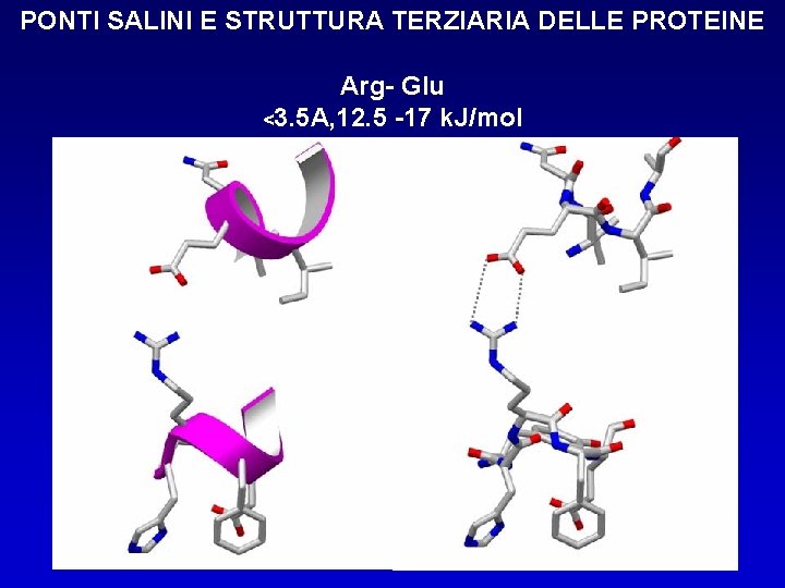 PONTI SALINI E STRUTTURA TERZIARIA DELLE PROTEINE Arg- Glu - Lys -17 k. J/mol PONTI SALINI E STRUTTURA TERZIARIA DELLE PROTEINE Arg- Glu - Lys -17 k. J/mol