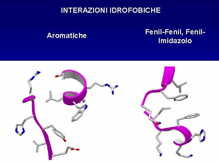 INTERAZIONI IDROFOBICHE Aromatiche Fenil-Fenil, Fenil. Imidazolo 