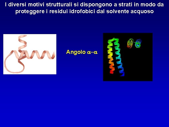 I diversi motivi strutturali si dispongono a strati in modo da proteggere i residui I diversi motivi strutturali si dispongono a strati in modo da proteggere i residui