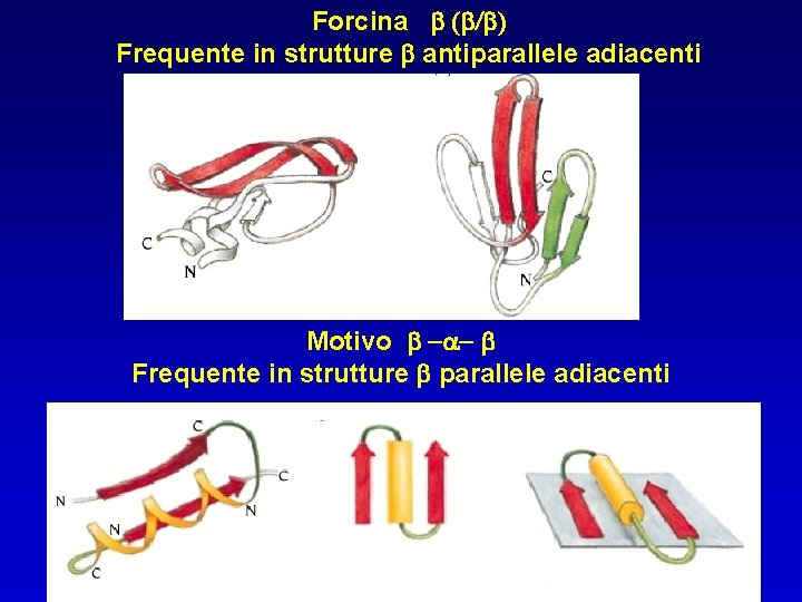 Forcina b (b/b) Frequente in strutture b antiparallele adiacenti Motivo b -a- b Frequente