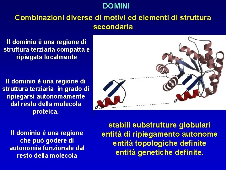 DOMINI Combinazioni diverse di motivi ed elementi di struttura secondaria Il dominio è una