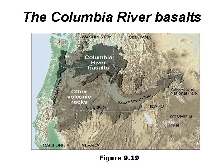 The Columbia River basalts Figure 9. 19 