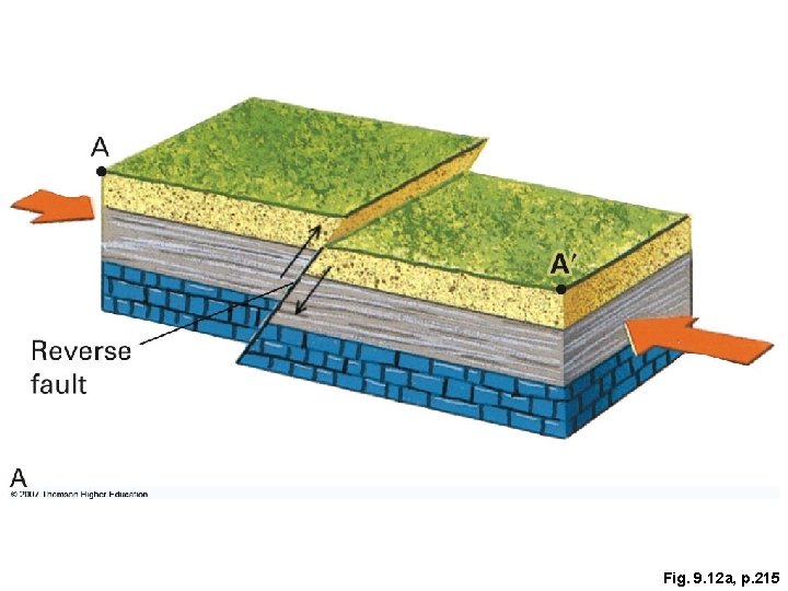 Fig. 9. 12 a, p. 215 