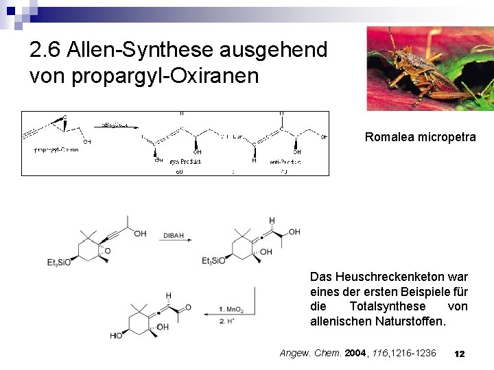 2. 6 Allen-Synthese ausgehend von propargyl-Oxiranen Romalea micropetra Das Heuschreckenketon war eines der ersten