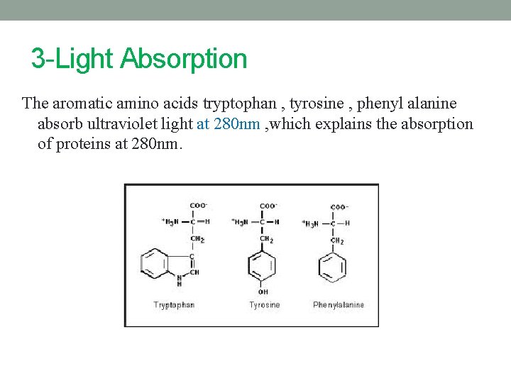 3 -Light Absorption The aromatic amino acids tryptophan , tyrosine , phenyl alanine absorb