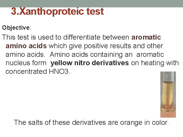 3. Xanthoproteic test Objective: This test is used to differentiate between aromatic amino acids