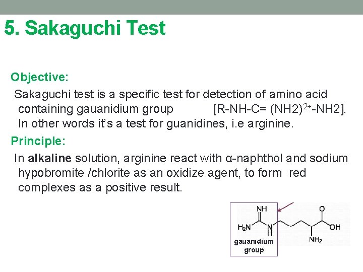 5. Sakaguchi Test Objective: Sakaguchi test is a specific test for detection of amino