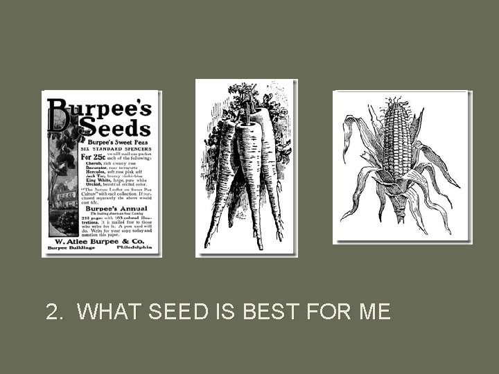 2. WHAT SEED IS BEST FOR ME 