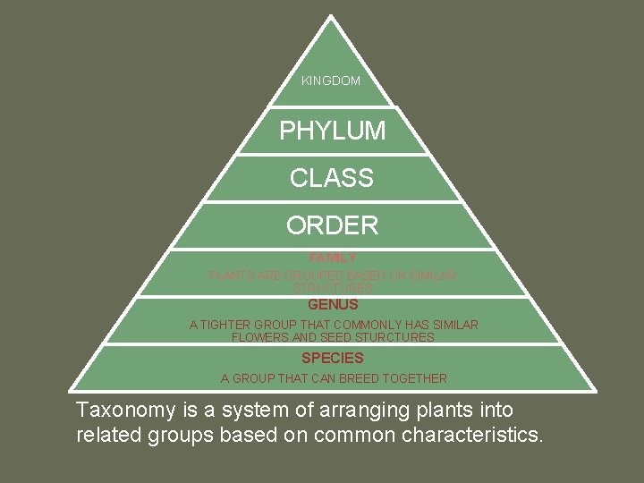 KINGDOM PHYLUM CLASS ORDER FAMILY PLANTS ARE GROUPED BASED ON SIMILAR STRUCTURES GENUS A