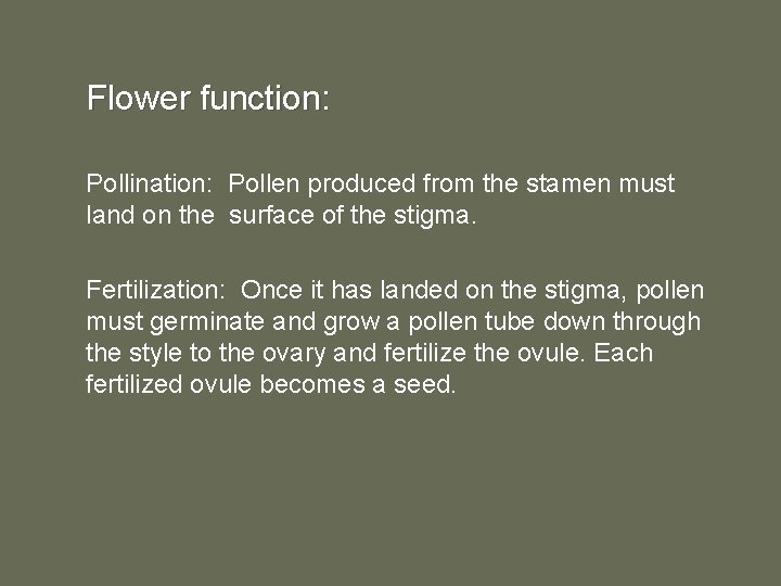 Flower function: Pollination: Pollen produced from the stamen must land on the surface of