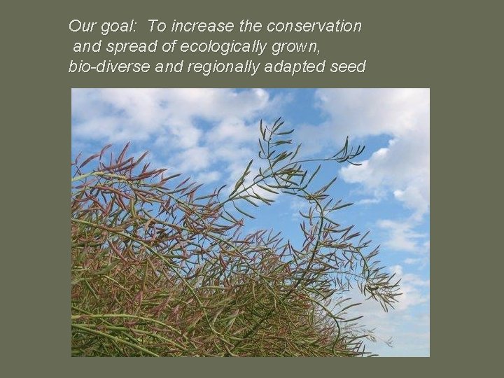 Our goal: To increase the conservation and spread of ecologically grown, bio-diverse and regionally