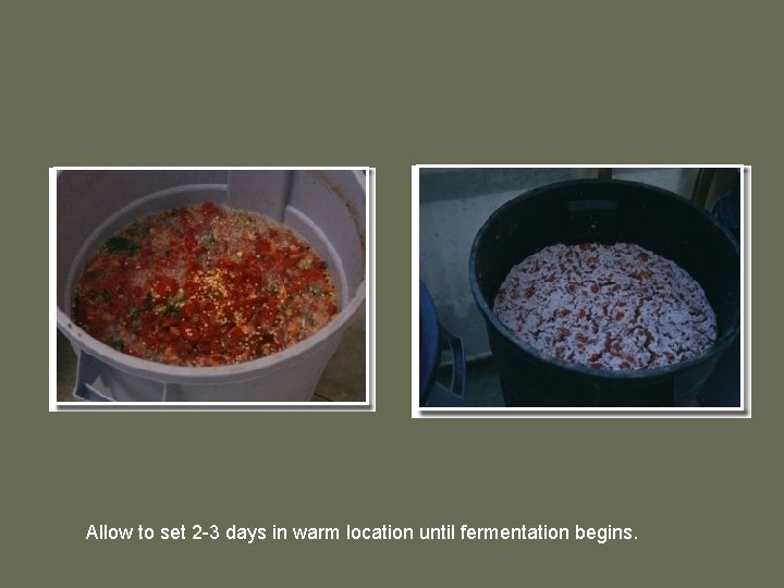 Allow to set 2 -3 days in warm location until fermentation begins. 