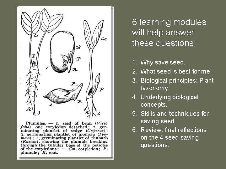 6 learning modules will help answer these questions: 1. Why save seed. 2. What