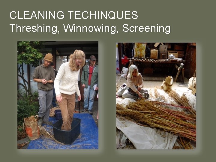 CLEANING TECHINQUES Threshing, Winnowing, Screening 