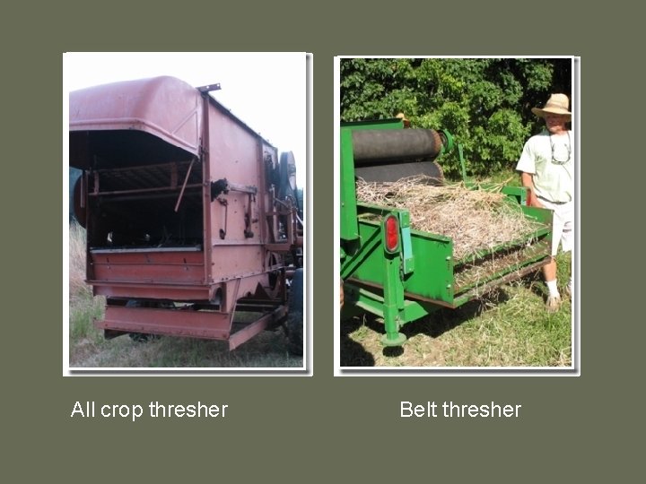 All crop thresher Belt thresher 