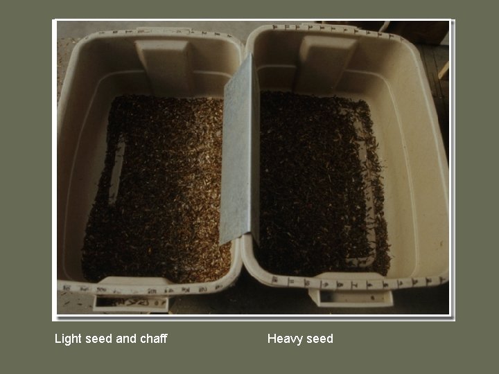 Light seed and chaff Heavy seed 