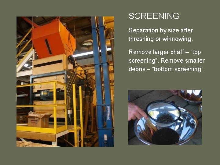 SCREENING Separation by size after threshing or winnowing. Remove larger chaff – “top screening”.