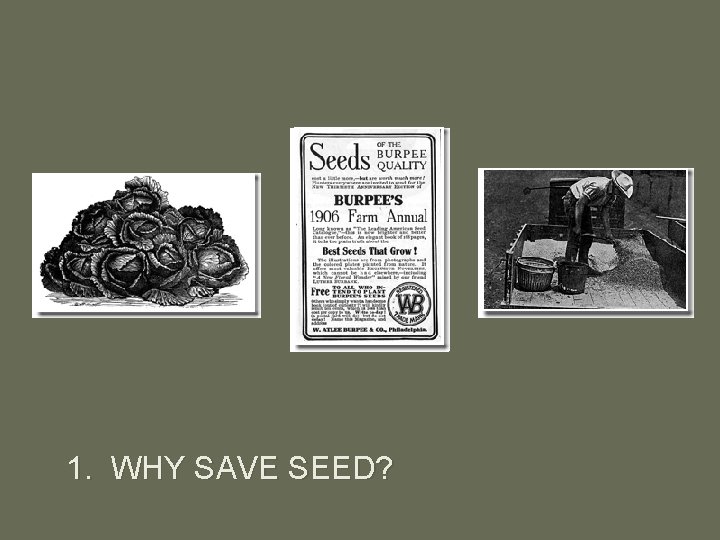 1. WHY SAVE SEED? 