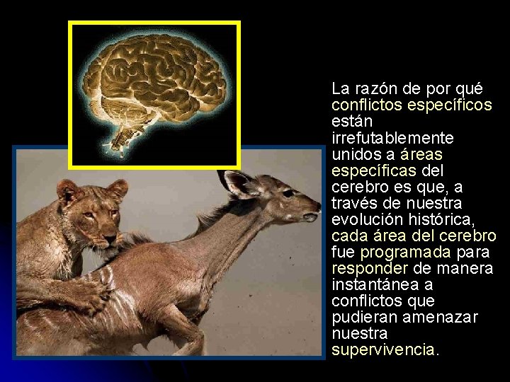 La razón de por qué conflictos específicos están irrefutablemente unidos a áreas específicas del