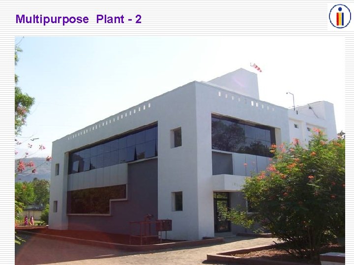Multipurpose Plant - 2 