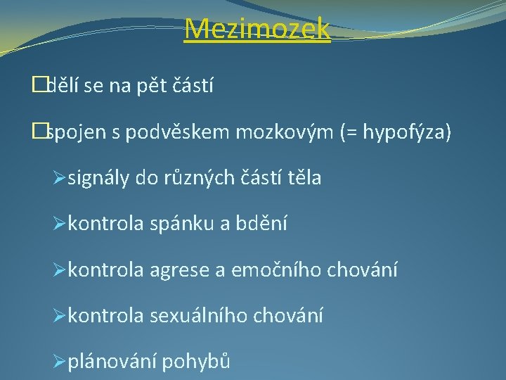 Mezimozek �dělí se na pět částí �spojen s podvěskem mozkovým (= hypofýza) Øsignály do