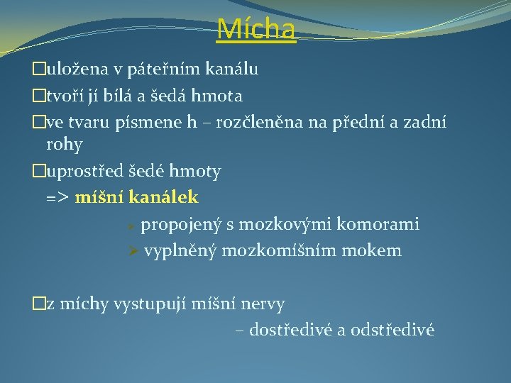 Mícha �uložena v páteřním kanálu �tvoří jí bílá a šedá hmota �ve tvaru písmene