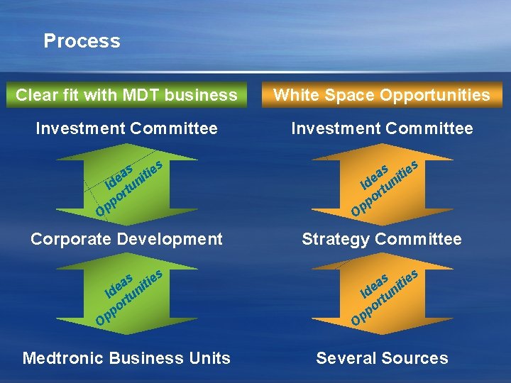 Process Clear fit with MDT business White Space Opportunities Investment Committee s s as