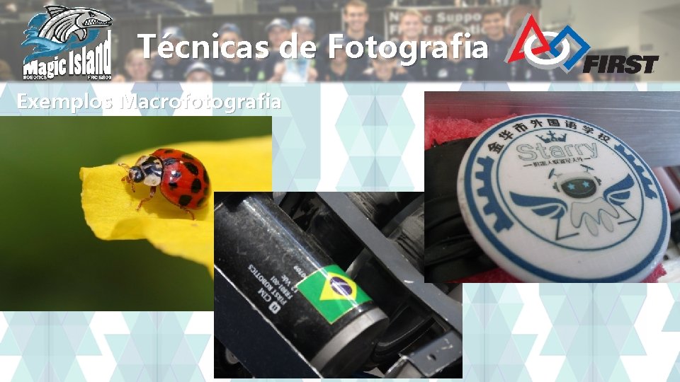 Técnicas de Fotografia Exemplos Macrofotografia 