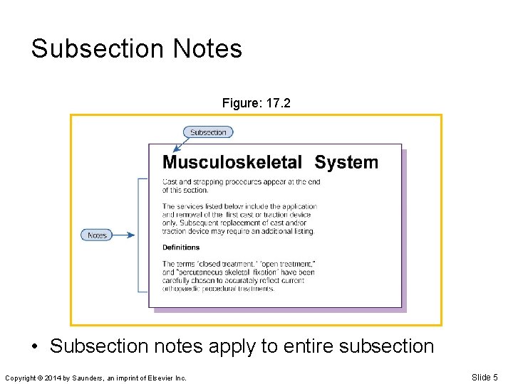 Subsection Notes Figure: 17. 2 • Subsection notes apply to entire subsection Copyright ©