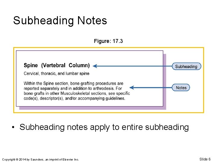 Subheading Notes Figure: 17. 3 • Subheading notes apply to entire subheading Copyright ©