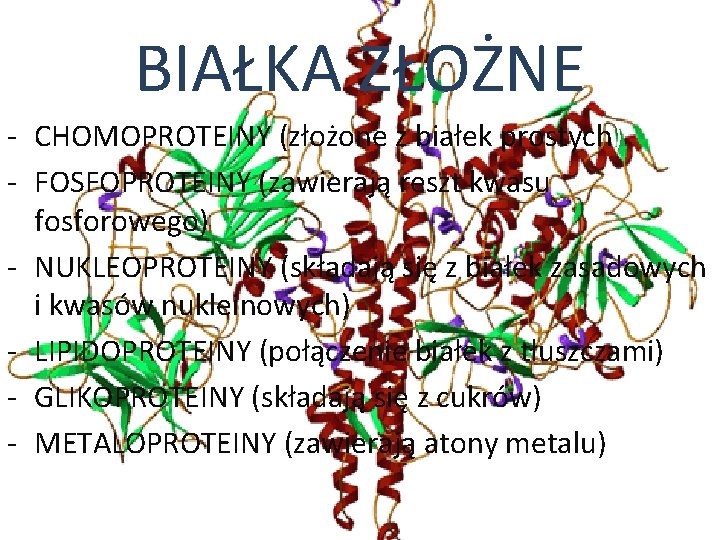 BIAŁKA ZŁOŻNE - CHOMOPROTEINY (złożone z białek prostych) - FOSFOPROTEINY (zawierają reszt kwasu fosforowego)