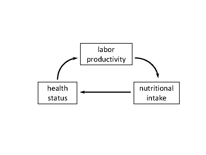 labor productivity health status nutritional intake 