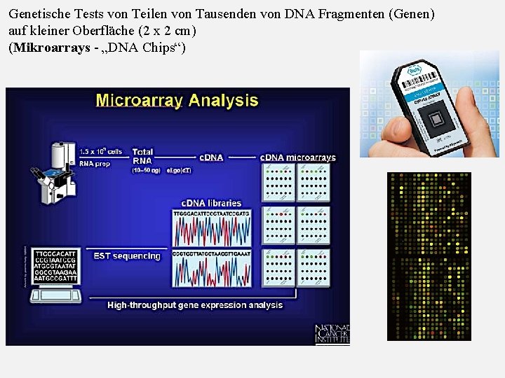 Genetische Tests von Teilen von Tausenden von DNA Fragmenten (Genen) auf kleiner Oberfläche (2