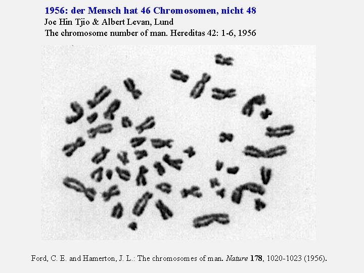 1956: der Mensch hat 46 Chromosomen, nicht 48 Joe Hin Tjio & Albert Levan,