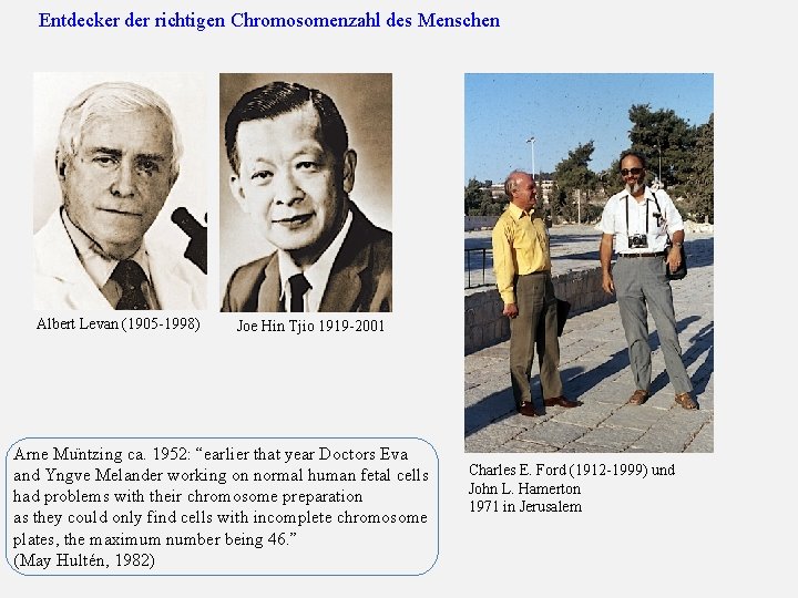 Entdecker der richtigen Chromosomenzahl des Menschen Albert Levan (1905 -1998) Joe Hin Tjio 1919