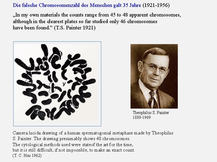 Die falsche Chromosomenzahl des Menschen galt 35 Jahre (1921 -1956) „In my own materials