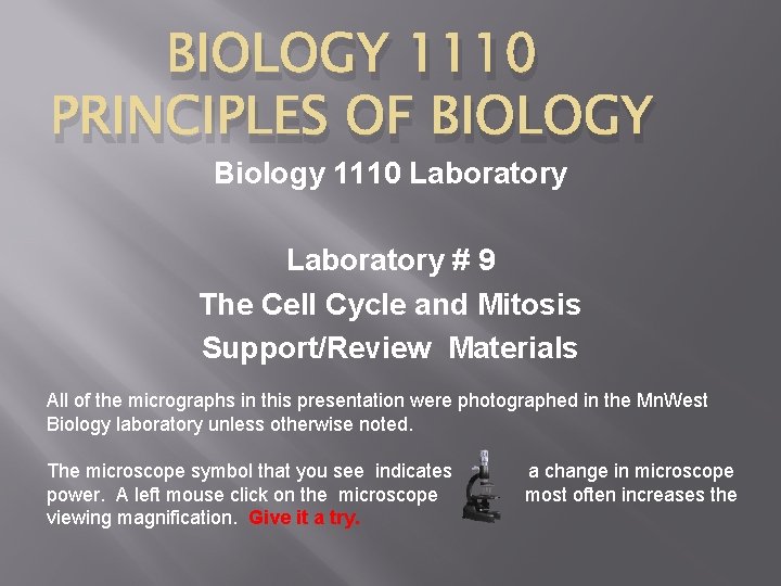 BIOLOGY 1110 PRINCIPLES OF BIOLOGY Biology 1110 Laboratory # 9 The Cell Cycle and