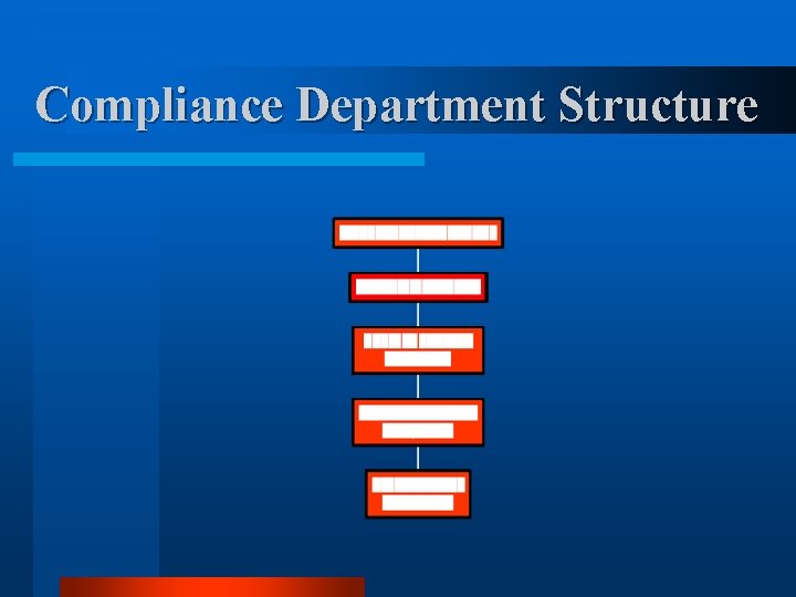 Compliance Department Structure Compliance Department Structure