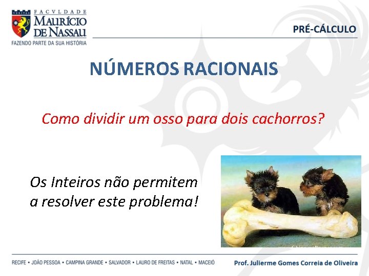 NÚMEROS RACIONAIS Como dividir um osso para dois cachorros? Os Inteiros não permitem a